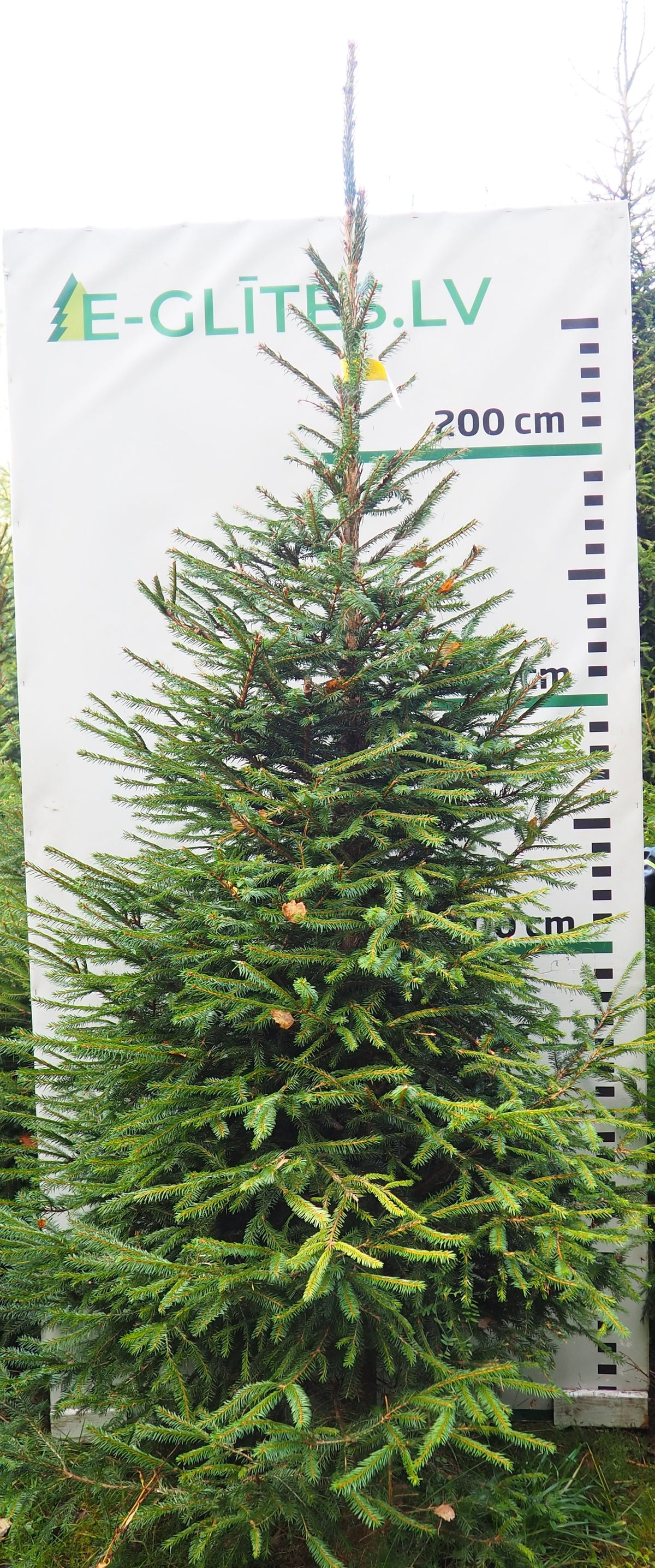 Egle 10HB48