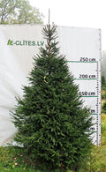 Egle 13B9, garums 3.50m