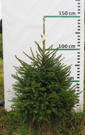 Egle 13J30, garums 1.25m