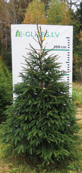 Egle 1HB1, garums 2.75m