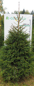 Egle 1HB2, garums 2.75m