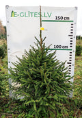 Egle 1L1, garums 1.50m