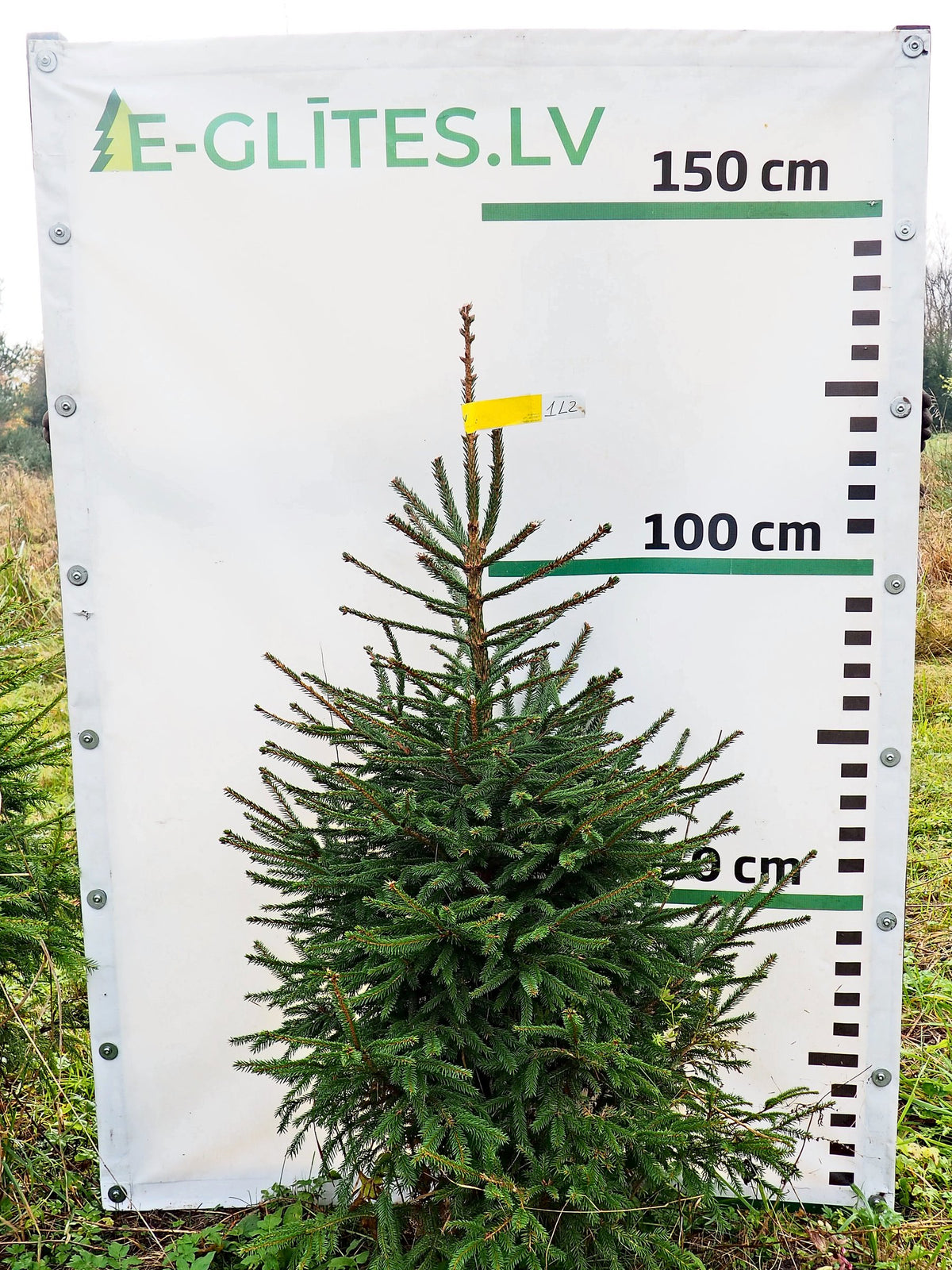 Egle 1L2, garums 1.25m
