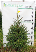 Egle 1L6, garums 1.50m