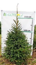 Egle 1L8, garums 1.75m