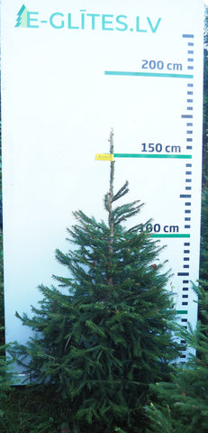 Egle 2HB14