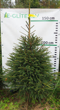 Egle 30T82, garums 1.75m