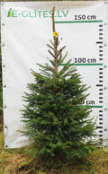 Egle 36T93, garums 1.50m