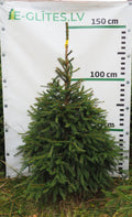 Egle 39T104, garums 1.25m
