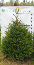 Egle 39T107, garums 1.75m