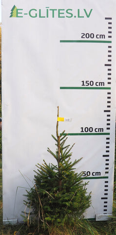 Egle 3H18