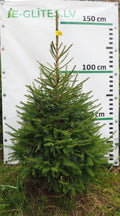 Egle 3T15, garums 1.50m