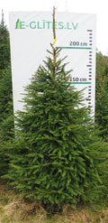 Egle 4HB18, garums 2.25m