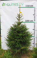 Egle 8T30, garums 1.25m