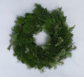 Adventes vainags (Nordmann Baltegle)