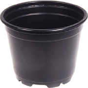 Iestādīšana podiņā